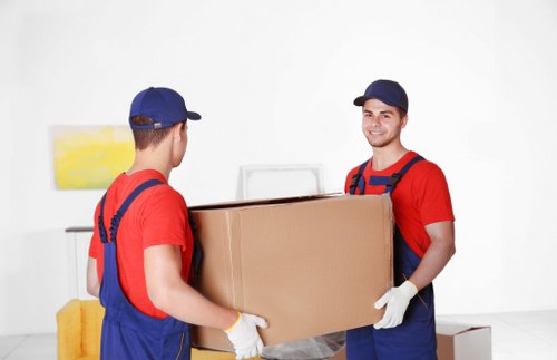 Unpacking service helping organize a new home in Stpauls