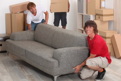 Packing boxes for a flat removal in Stpauls