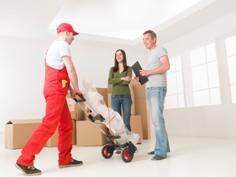 Secure storage and moving support offered by removal companies in Stpauls