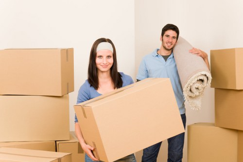 Protective packing materials and moving cartons in Stpauls