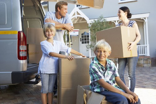 Low-carbon removals van supporting sustainable transport