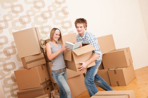 Organized storage and packing boxes for Stpauls homes and offices