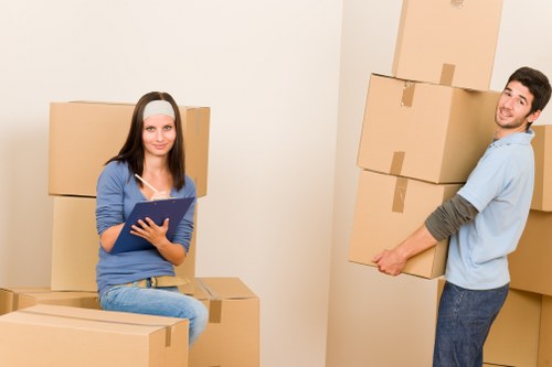 Inclusive web access for Stpauls Removals area visitors